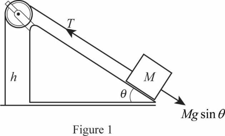 Principles of Physics: A Calculus-Based Text, Hybrid (with Enhanced WebAssign Printed Access Card), Chapter 14, Problem 60P 