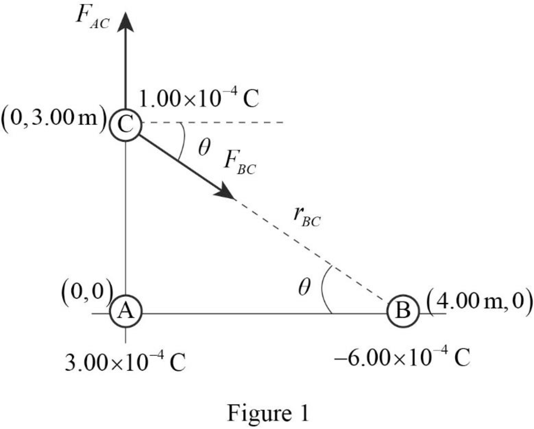 Principles of Physics: A Calculus-Based Text, Chapter 19, Problem 10P 