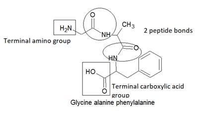 World of Chemistry, 3rd edition, Chapter 21, Problem 10A , additional homework tip  10