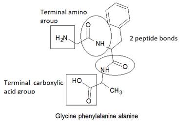 World of Chemistry, 3rd edition, Chapter 21, Problem 10A , additional homework tip  12