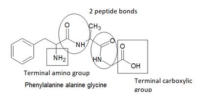 World of Chemistry, 3rd edition, Chapter 21, Problem 10A , additional homework tip  2