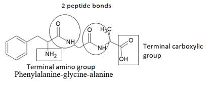 World of Chemistry, 3rd edition, Chapter 21, Problem 10A , additional homework tip  4