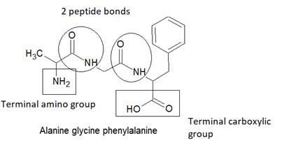 World of Chemistry, 3rd edition, Chapter 21, Problem 10A , additional homework tip  6