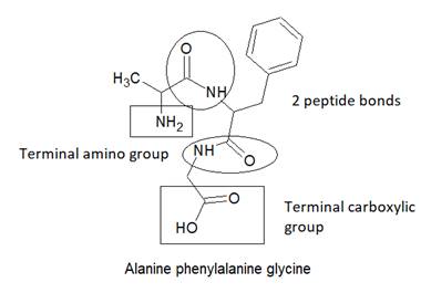 World of Chemistry, 3rd edition, Chapter 21, Problem 10A , additional homework tip  8