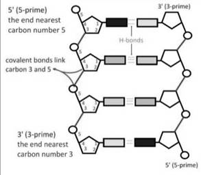 World of Chemistry, 3rd edition, Chapter 21, Problem 35A , additional homework tip  1