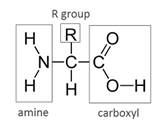 World of Chemistry, 3rd edition, Chapter 21, Problem 5A , additional homework tip  3