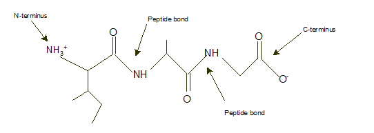 World of Chemistry, 3rd edition, Chapter 21, Problem 9A , additional homework tip  1