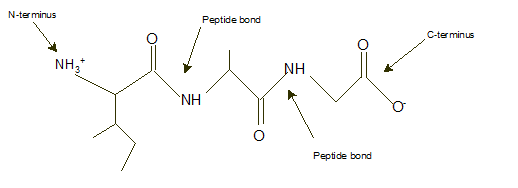 World of Chemistry, 3rd edition, Chapter 21, Problem 9A , additional homework tip  2