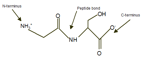 World of Chemistry, 3rd edition, Chapter 21, Problem 9A , additional homework tip  4