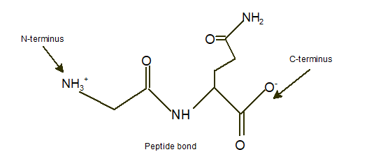 World of Chemistry, 3rd edition, Chapter 21, Problem 9A , additional homework tip  5