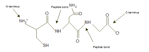 World of Chemistry, 3rd edition, Chapter 21, Problem 9A , additional homework tip  7