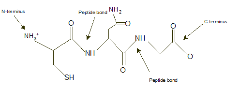 World of Chemistry, 3rd edition, Chapter 21, Problem 9A , additional homework tip  8