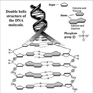 World of Chemistry, Chapter 21.2, Problem 5RQ 