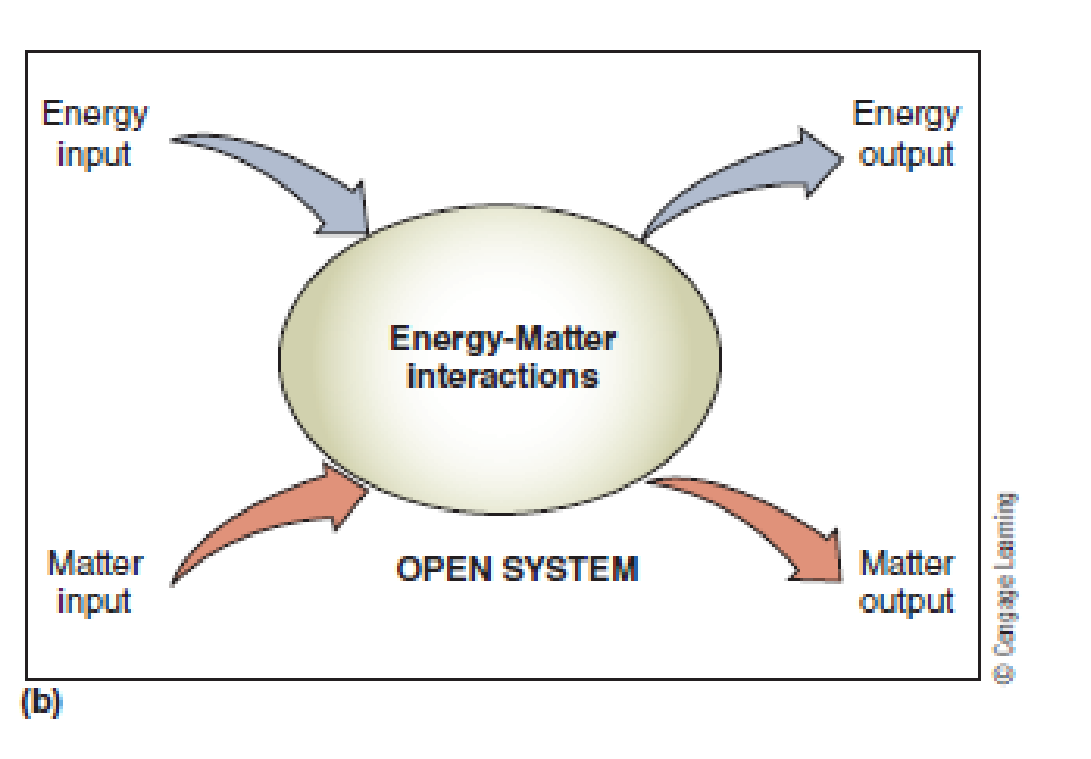 What Does Open System In Science Mean