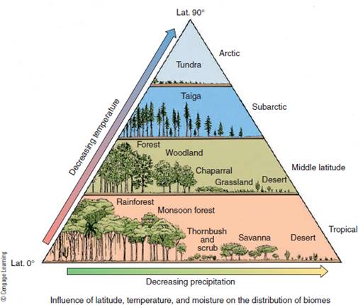 FIGURE 7.8 The distribution of major biomes is related to latitude ...
