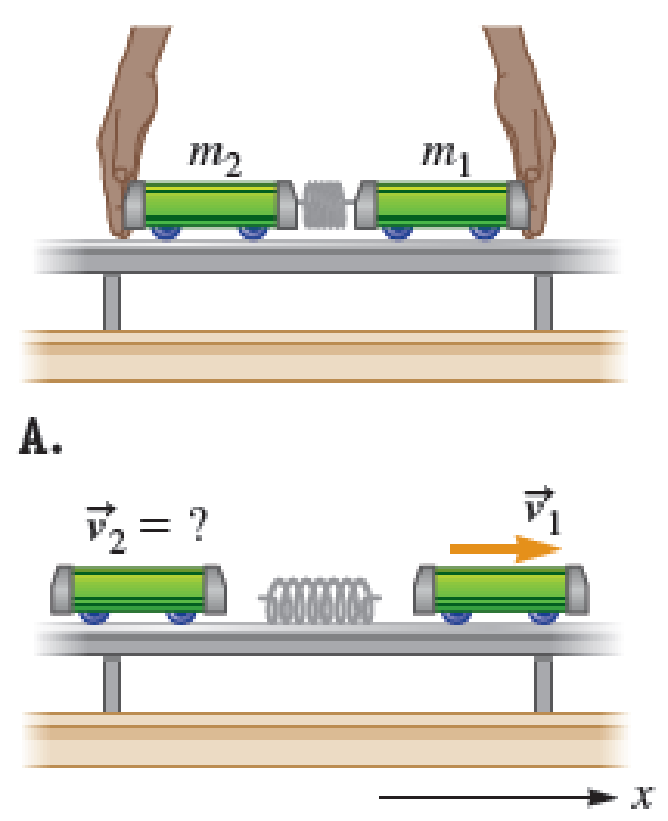 Chapter 10, Problem 40PQ, There is a compressed spring between two laboratory carts of masses m1 and m2. Initially, the carts 