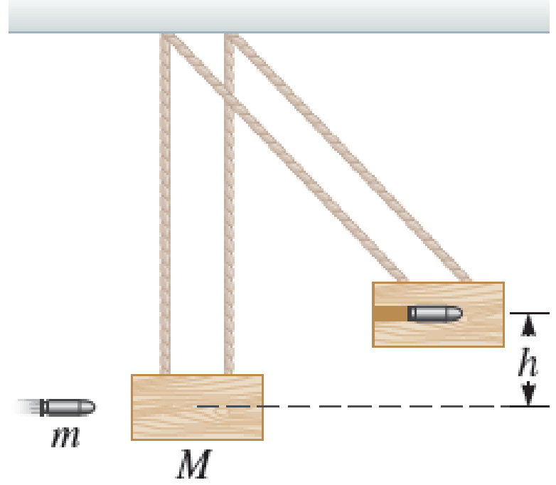 Chapter 11, Problem 33PQ, A bullet of mass m is fired into a ballistic pendulum and embeds itself in the wooden bob of mass M 
