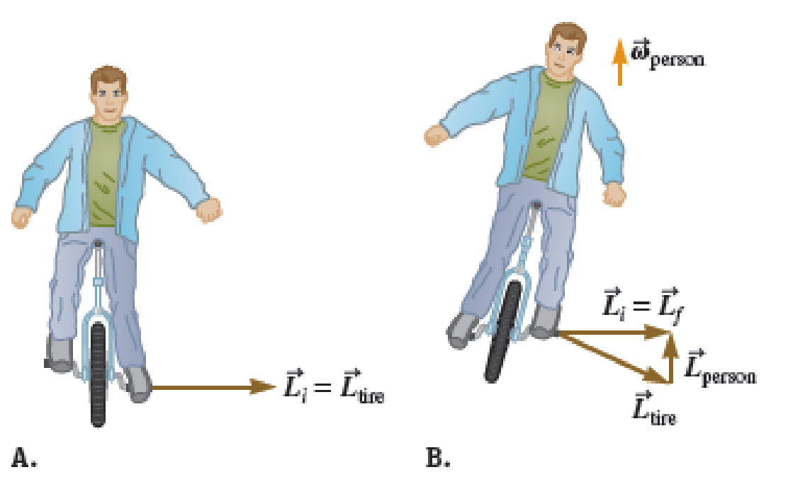 Chapter 13, Problem 50PQ, CHECK and THINK Our results give us a way to think about how a person might steer a unicycle. , example  2