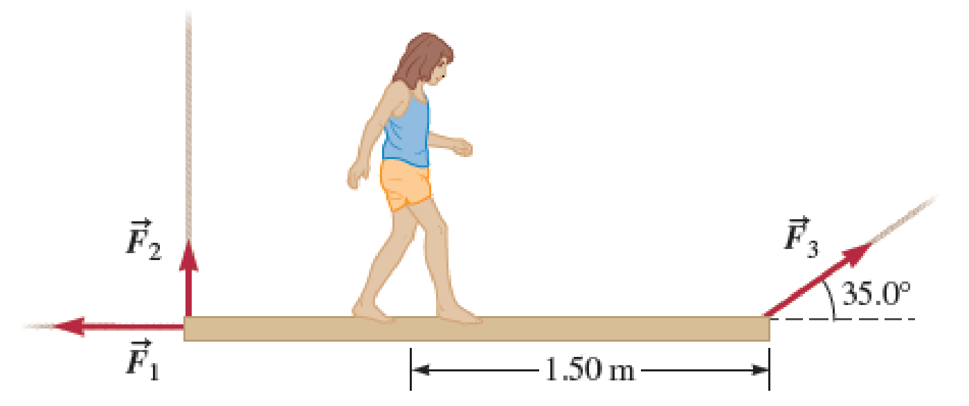 Chapter 14, Problem 27PQ, Children playing pirates have suspended a uniform wooden plank with mass 15.0 kg and length 2.50 m 