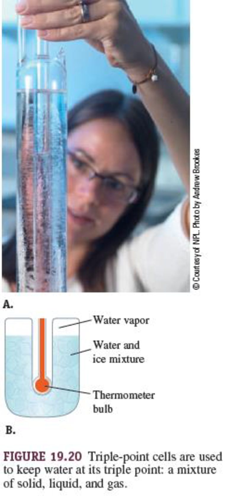 Chapter 19, Problem 48PQ, A triple-point cell such as the one shown in Figure 19.20 (page 571) is constructed and calibrated 