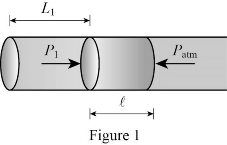 Student Solutions Manual For Katz's Physics For Scientists And Engineers: Foundations And Connections, Volume 1, Chapter 19, Problem 49PQ , additional homework tip  1