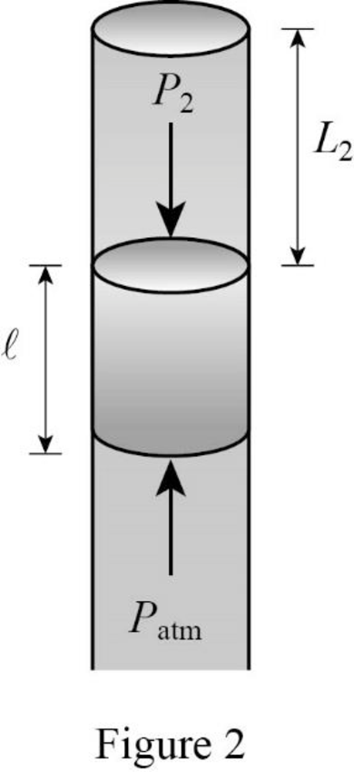 Student Solutions Manual For Katz's Physics For Scientists And Engineers: Foundations And Connections, Volume 1, Chapter 19, Problem 49PQ , additional homework tip  2