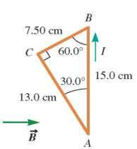 Chapter 30, Problem 62PQ, The triangular loop of wire shown in Figure P30.62 carries a current of 0.125 A, and a uniform 