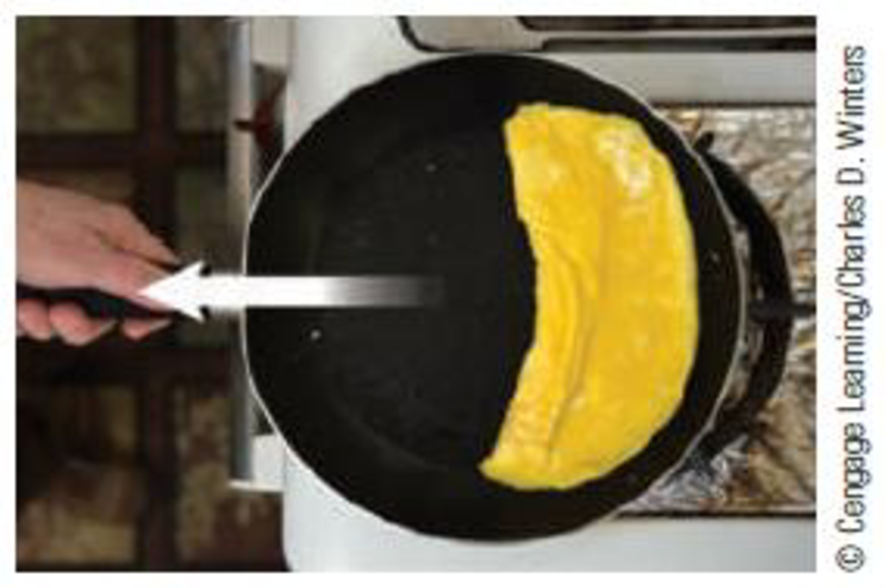 Chapter 5, Problem 4PQ, When Julia Child would cook an omelet, she would rapidly jostle the pan back and forth (Fig. P5.4). 