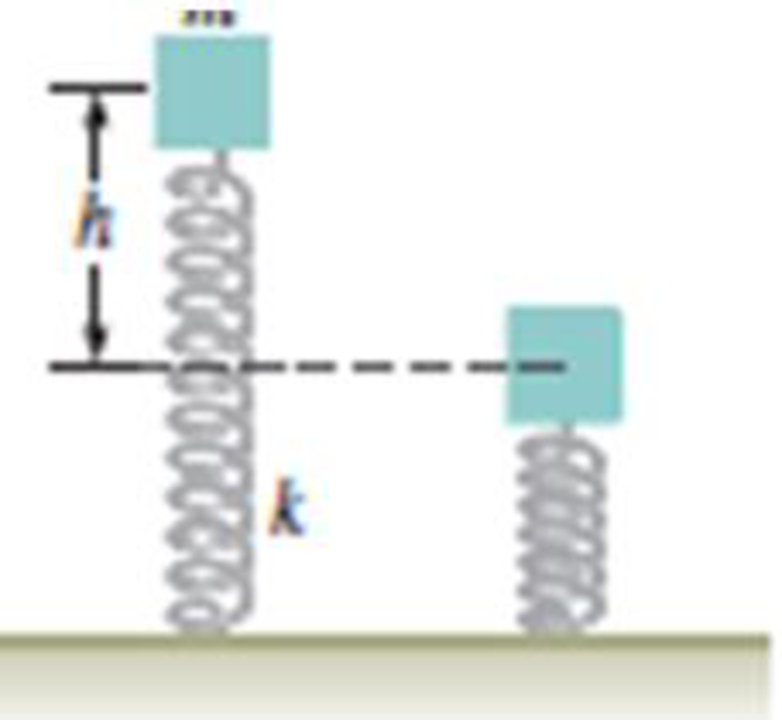 Chapter 8, Problem 24PQ, A block is placed on top of a vertical spring, and the spring compresses. Figure P8.24 depicts a 