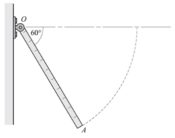 Chapter 10, Problem 59SP, 10.59 [II]	Rod OA in Fig. 10-14 is a meterstick. It is hinged at O so that it can turn in a vertical 