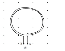 Chapter 32, Problem 16SP, 32.16 [I]	Figure 32-9(b) depicts a two-turn horizontal coil in a uniform upward B-field. Assume the 