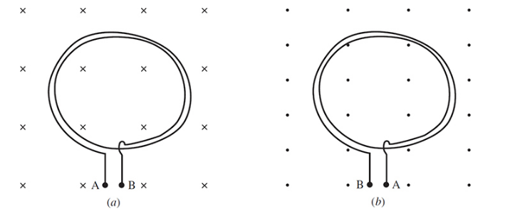Chapter 32, Problem 17SP, 32.17 [I]	Figure 32-9(a) depicts a two-turn horizontal coil in a uniform downward b-field. Assume 