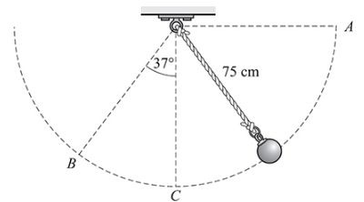 Chapter 6, Problem 45SP, 6.45 [II]	Consider the simple pendulum shown in Fig. 6-7. (a) If it is released from point-A, what 