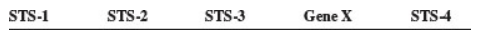 Chapter 22, Problem 19EQ, A human gene, which we will call geneX, is located on chromosome 11 and is found as a normal allele 