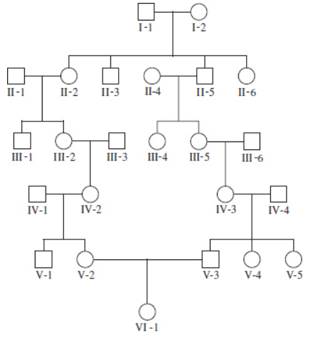 Chapter 27, Problem 24CONQ, 24.	Using the pedigree shown here, answer the following questions for individual VI-1.


	A.	Is this 