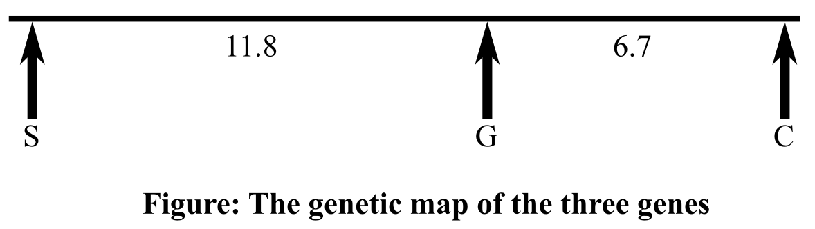 GENETICS:ANALYSIS+PRIN-CONNECT, Chapter 6, Problem 16EQ 