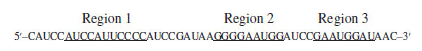 Chapter 9, Problem 35CONQ, 35.	An RNA molecule has the following sequence: 



Parts of region 1 can form a stem-loop with 