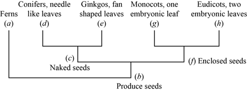 Essentials of Biology, Chapter 16, Problem 1TC 