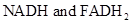 BIO 1408/09 PKG W/LS CODE, Chapter 7.4, Problem 1CYP , additional homework tip  2