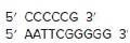 Chapter 10, Problem 11P, For the sake of simplicity, Fig. 10.4 omitted one step of cDNA library construction. The figure 