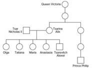 Chapter 11, Problem 20P, On July 17, 1918, Tsar Nicholas II; his wife the Tsarina Alix; their daughters Olga, Tatiana, Maria, , example  2
