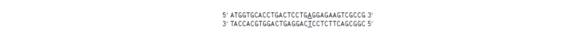 Chapter 11, Problem 23P, A partial sequence of the wild-type HbA allele is shown here the top strand is the RNA-like coding , example  1