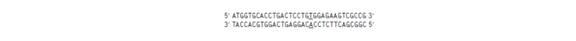 Chapter 11, Problem 23P, A partial sequence of the wild-type HbA allele is shown here the top strand is the RNA-like coding , example  2