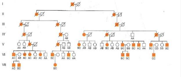 Chapter 11, Problem 31P, The pedigree shown in Fig. 11.22 was crucial to the identification of the Huntington disease gene 