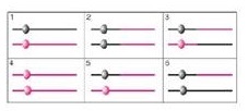 Chapter 13, Problem 19P, In the following figure, black and pink lines represent nonhomologous chromosomes. Which of the 
