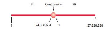 Chapter 13, Problem 8P, A series of chromosomal mutations in Drosophila were used to map the javelin gene, which affects , example  1