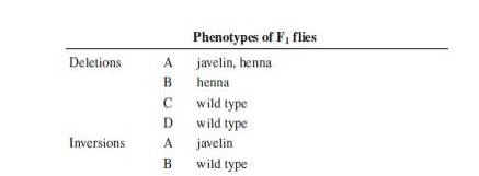 Chapter 13, Problem 8P, A series of chromosomal mutations in Drosophila were used to map the javelin gene, which affects , example  3