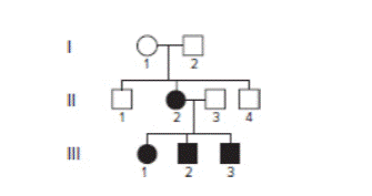 Chapter 15, Problem 22P, The first person in the family represented by the pedigree shown here who exhibited symptoms of the 