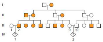 Chapter 2, Problem 47P, The following pedigree shows the inheritance of red hair in a family in Scotland. Red hair is caused 