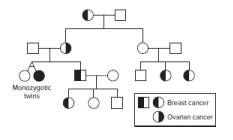 Chapter 20, Problem 23P, Families with germ-line BRCA1 or BRCA2 loss-of-function mutations usually display Hereditary Breast 